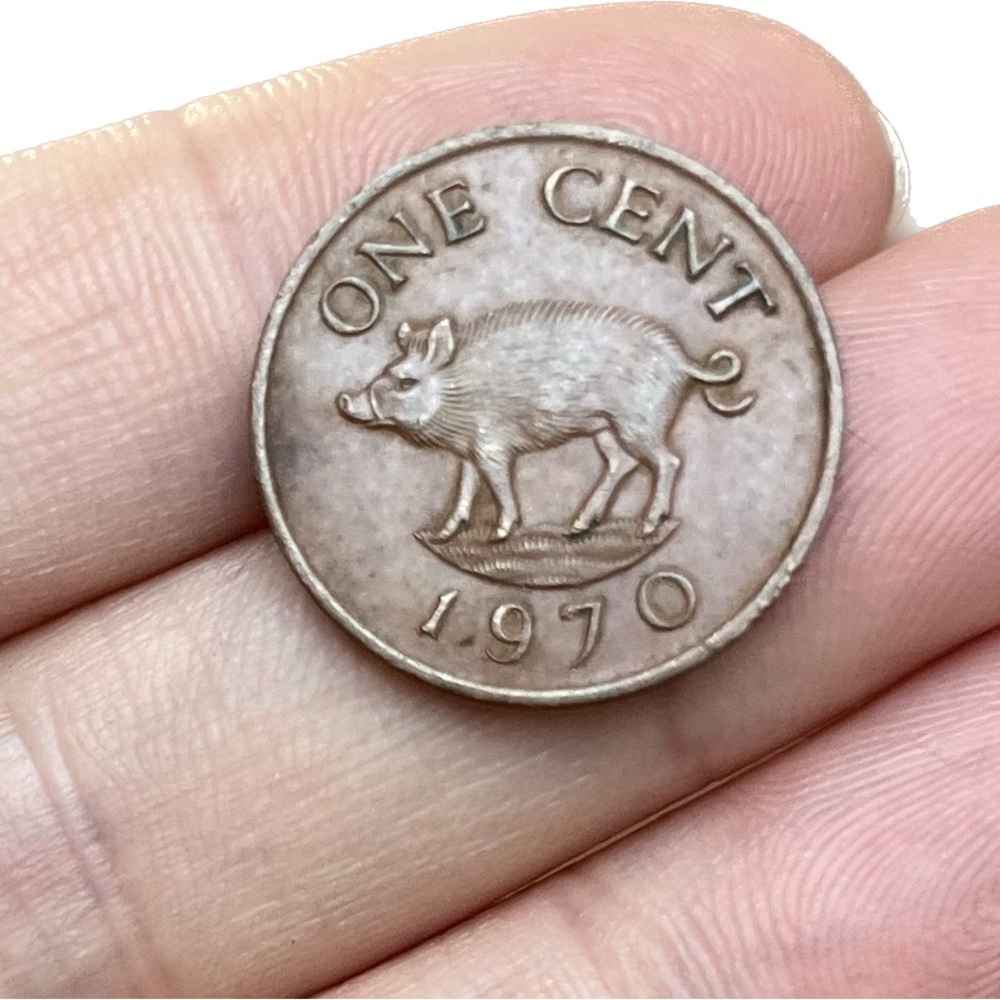 🎈$5 add on - 1970 ONE CENT BERMUDA - Elizabeth II - Wild Boar/Hog